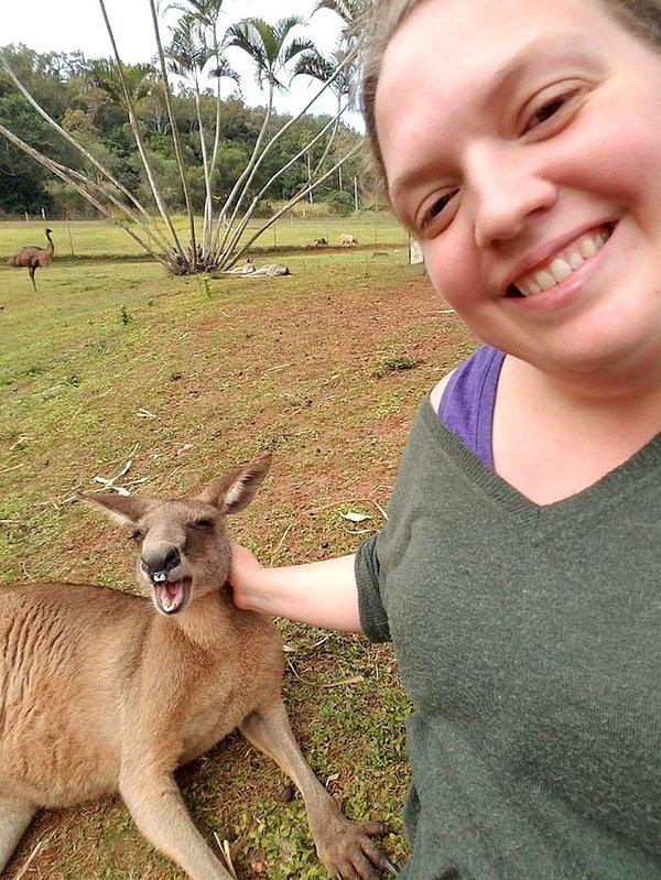 6. "Kameraya gülümseyen bir kanguru yakaladım."