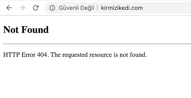 Yayınevinin internet sitesi sabah saatlerinde çöktü.