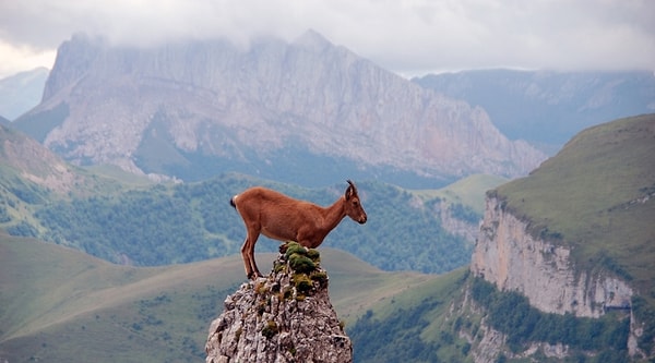 7. Назовите столицу Республики Адыгея: