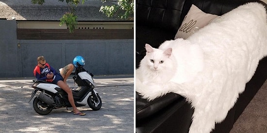 Обман зрения, или 20 фотографий, которые станут причиной взрыва вашего мозга