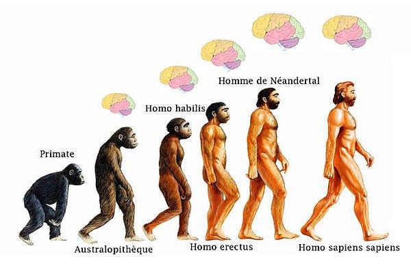 Varlığımızın ilk 100.000 yılı boyunca, davranış şeklimiz Neandertaller ile benziyordu. Ancak daha sonra değiştik…