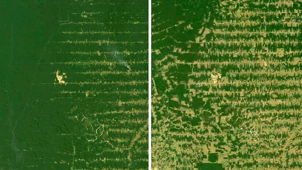 24. Леонардо Ди Каприо основал фонд по защите окружающей среды и на днях опубликовал снимки штата Рондония в Бразилии, где видны последствия вырубки дождевых лесов Амазонии.