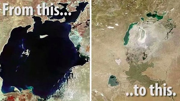 25. Человечеству пора всерьез задуматься над тем, что природа нашей планеты меняется и далеко не в лучшую сторону.