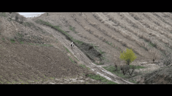 Aşk'ın kapana kısılmışlığı, bastırılmışlığı; sevenin ise uzun uzun yollarda bitmez seyahatlerini, arayışlarını görüyoruz.