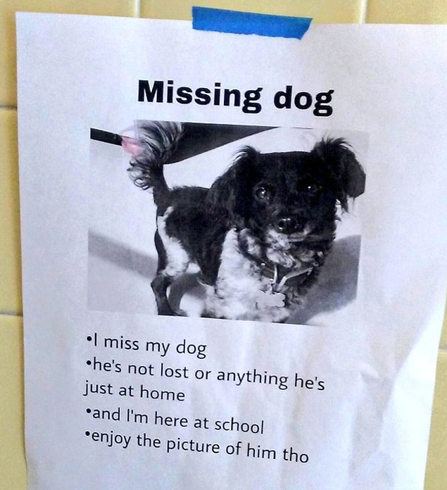 13. Ve bazen tek özlediğiniz şey köpeğiniz olur...