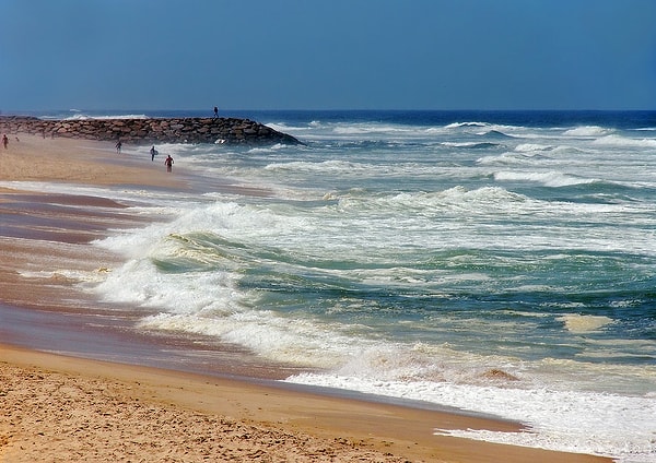 3. Сколько океанов омывает территорию США?