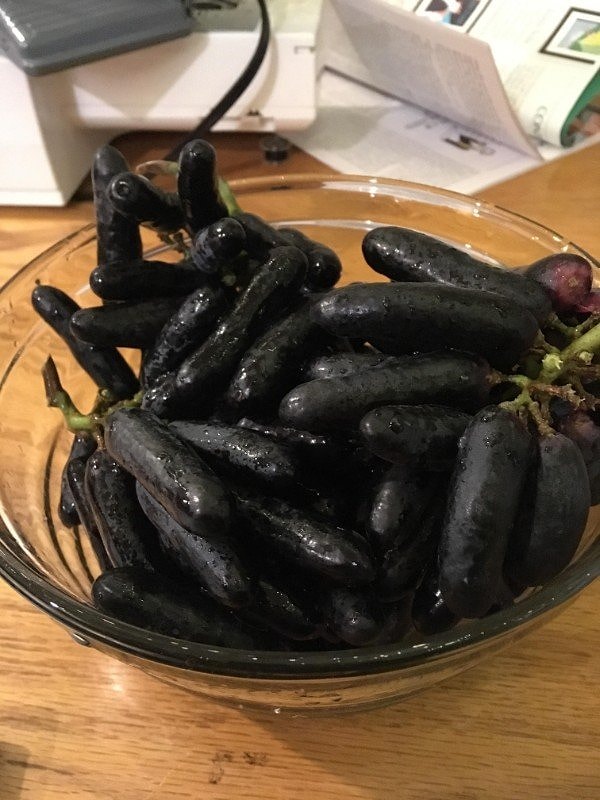 10. Как думаете, что это? Виноград! Оказывается, он бывает и таким