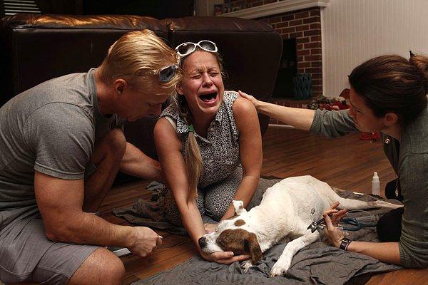 10. Köpeği, Sam öldüğü an Olesya Lykovi o kadar çok ağlıyor ki, veterinerlerine dönüp "Gitti mi?" diye soruyor.