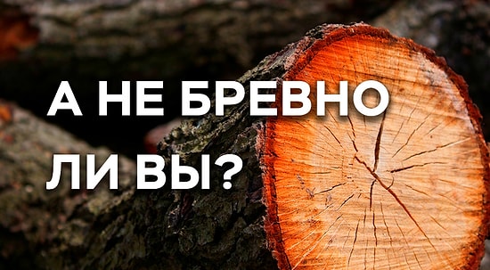 Тест: А не бревно ли вы случайно?