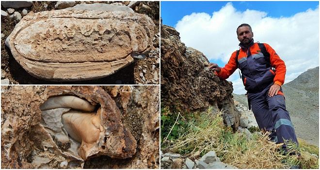 Tesadüfen Bulundu: Konya'da Deniz Canlılarına Ait 98 Milyon Yıllık Fosiller Keşfedildi