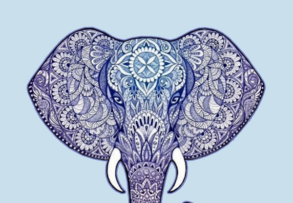 3. Теперь кликните на понравившегося слона: