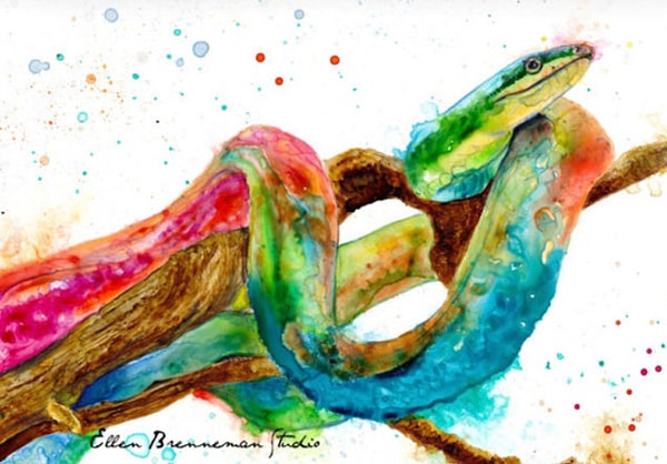 4. Выбираем змею: