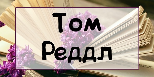 8. Из какой серии книг данный персонаж?