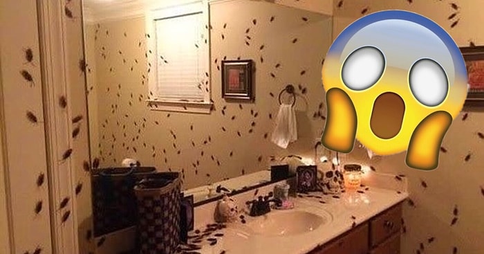 19 фотографий, владельцы которых чуть не поседели