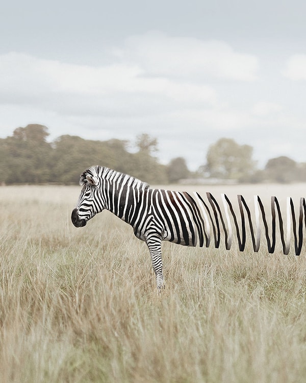 4. Растяжка в буквальном ее смысле