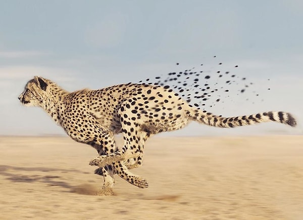 7. Качественный пятновыводитель