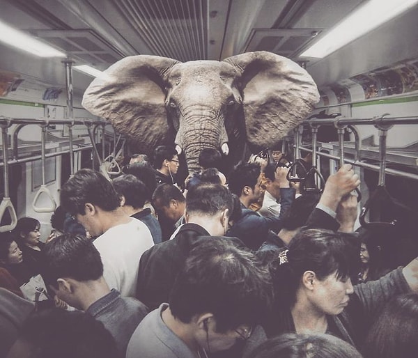 18. Слона-то я и не приметил