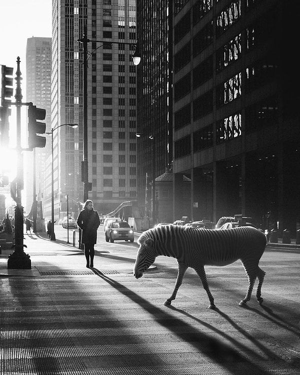 28. Марти, ты ли это?!