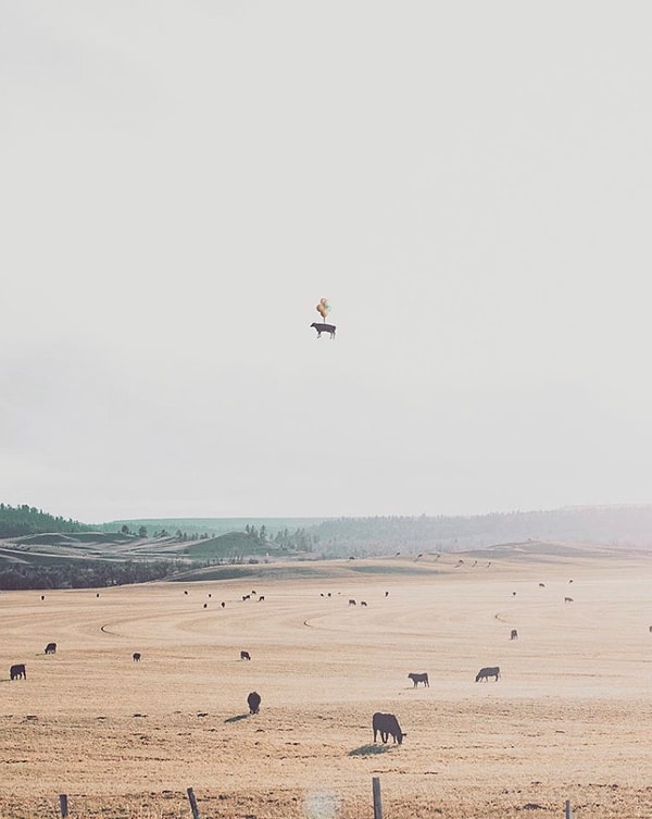 38. Я чувствую такую легкость!