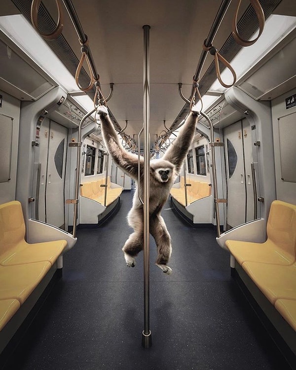 39. Когда просто не можешь вести себя прилично в общественном месте