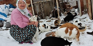 Soğuk Havada Dışarıda Üşümesinler Diye Evinde 58 Kediye Bakan Nuriye Teyze