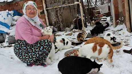 Soğuk Havada Dışarıda Üşümesinler Diye Evinde 58 Kediye Bakan Nuriye Teyze
