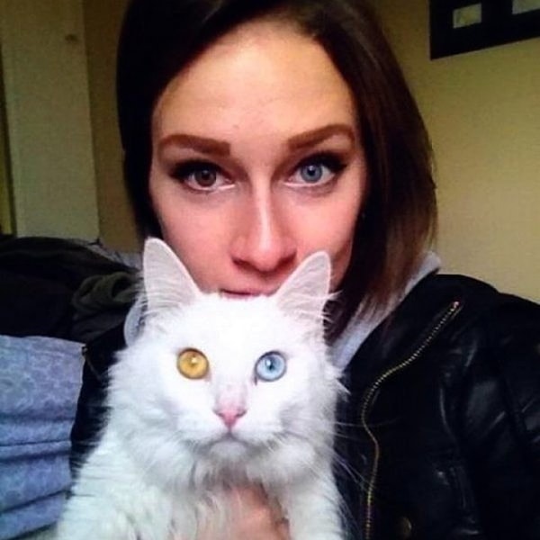 25. Кот как бесплатное приложение к девушке