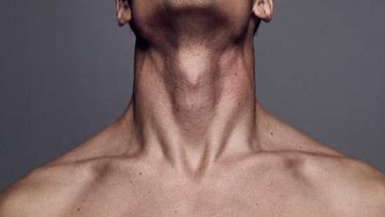 Почему у мужчин есть кадык, а у женщин его нет?