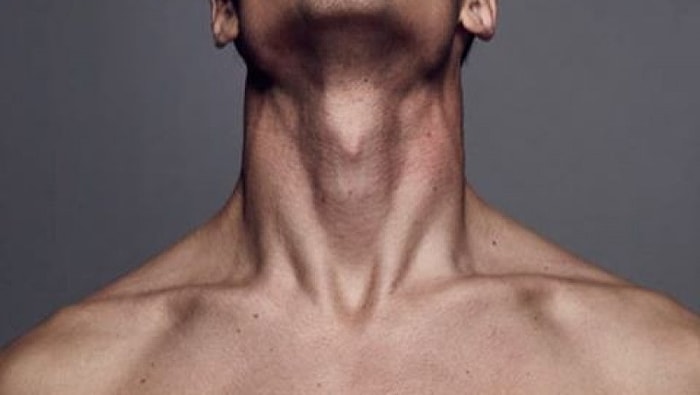 Почему у мужчин есть кадык, а у женщин его нет?