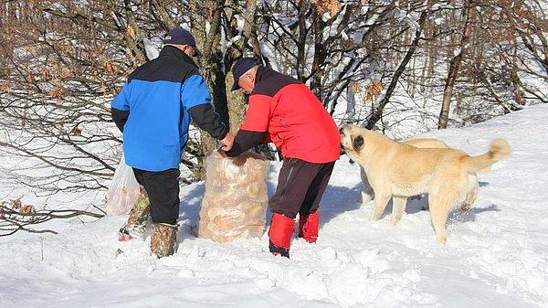 Bursa'nın İnegöl ilçesinde iki arkadaş, kış aylarında topladıkları ekmek ve diğer yiyecekleri, zor koşullarda hayatta kalma mücadelesi veren hayvanların bulunduğu bölgelere bırakıyor.