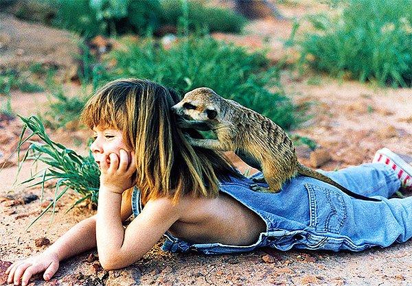 Küçük kız, vahşi Afrika hayvanlarıyla arkadaş olmayı hiç garipsemedi.
