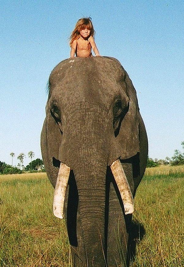 Tippi, Abu isimli 28 yaşındaki yabani Afrika filiyle bir bağ kurmuştu.