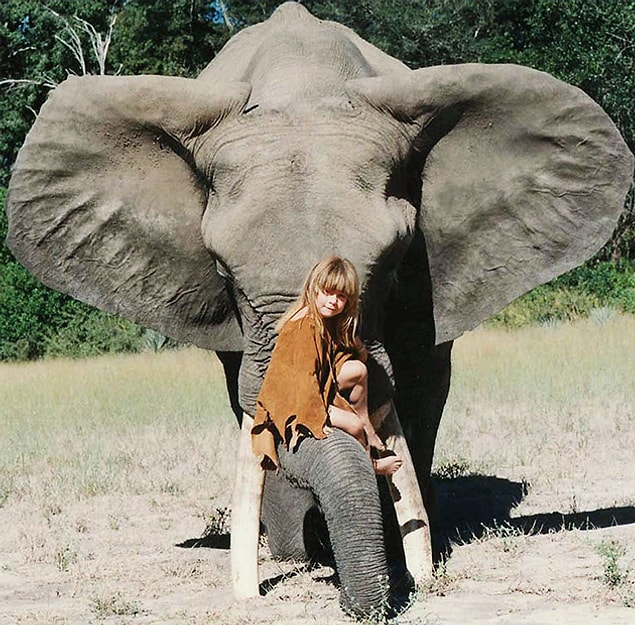 Tippi, "kardeşim" olarak adlandırdığı 5 tonluk filin üzerinde.