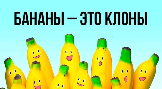 15 фактов о еде, которые заставят вас сказать «Да лаааадно»