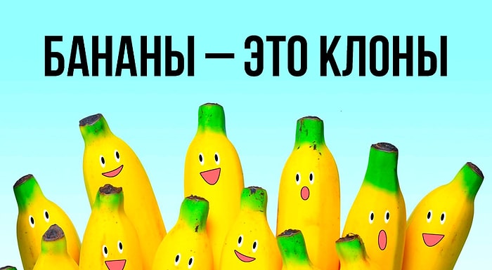 15 фактов о еде, которые заставят вас сказать «Да лаааадно»