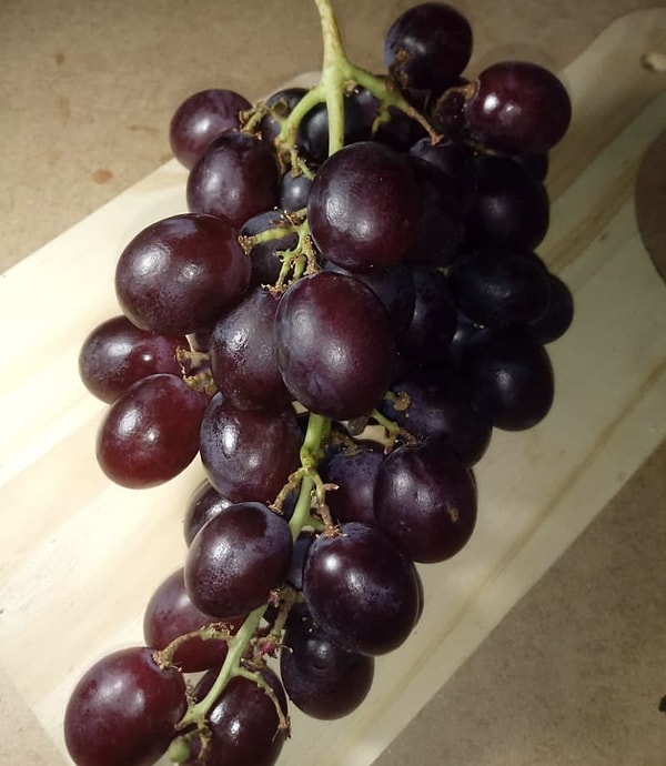 13. Если положить виноград в микроволновку, он взорвется.