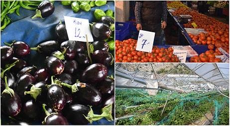 35 Senelik Pazarcı: 'İlk Defa Böyle Fiyatlara Sebze Satıyorum'