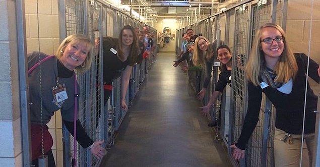 1. Colorado'daki bu hayvan barınağı çalışanları bütün hayvanların Noel için sahiplenilmesinin ardından boş kafeslerde kutlama yapıyorlar.