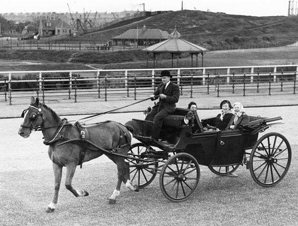 1847 yılında Utah Bölgesine taşınmaya karar veren aileyle beraber Biddy de yola koyuldu. Onlar at üstünde giderken Biddy yürüyordu.