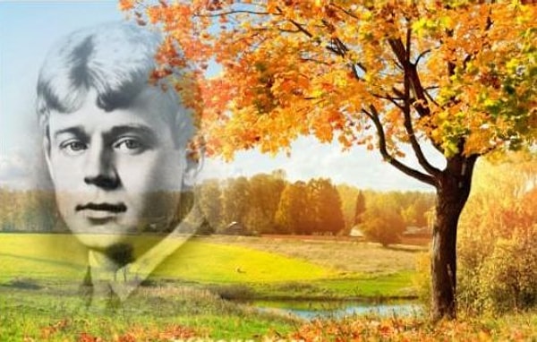 13. Дай, Джим, на счастье лапу мне...