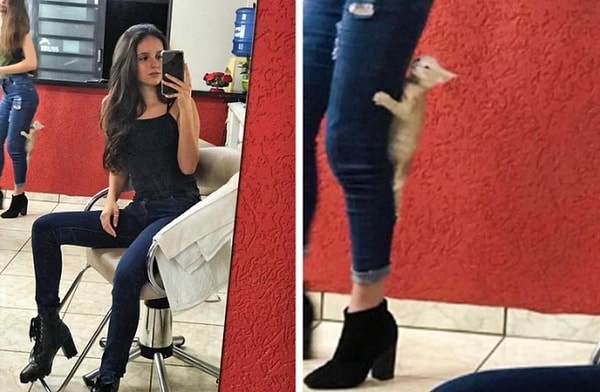 14. А никто бы и не заметил