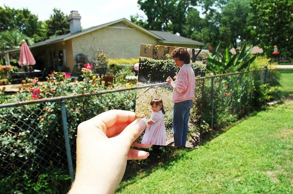 12. А сад все тот же...