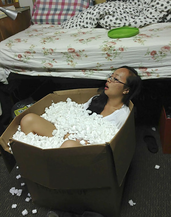 14. "Проснулась в два часа ночи и обнаружила свою соседку уснувшей в коробке с наполнителем"