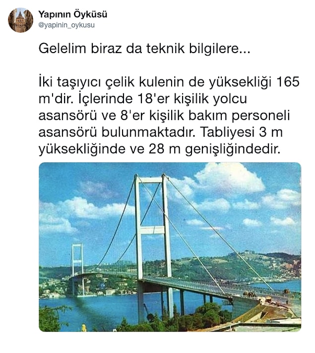 31.