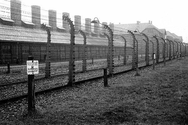 Auschwitz'in dikenli telleri, 1945 sıraları.