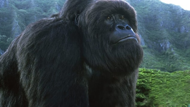 10. Mighty Joe Young