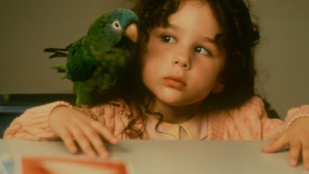 11. Paulie
