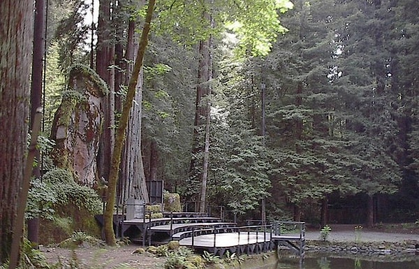 18. Богемская роща, США