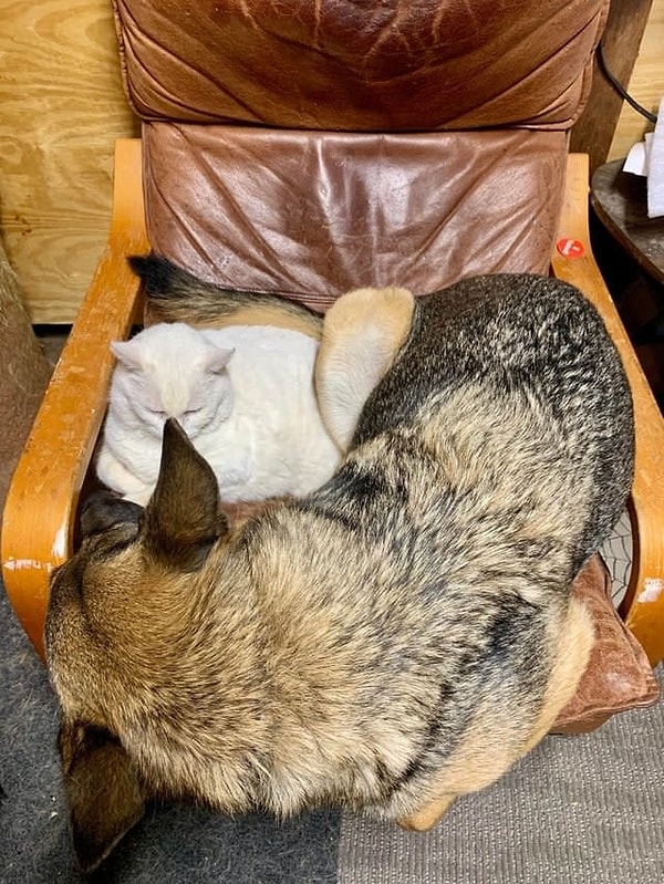 11. В холодный зимний вечер