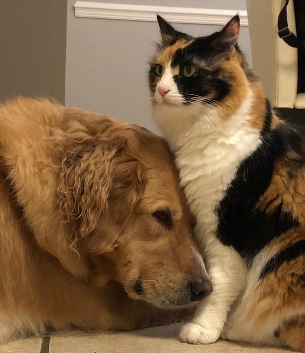 19. Это любовь